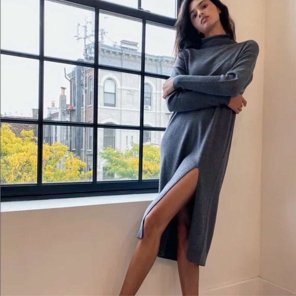 Wilfred Cyprie Dress NWOT